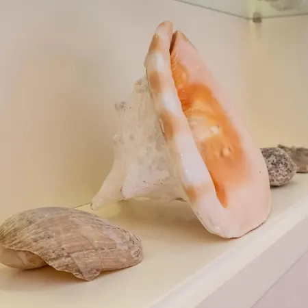 Noliday Riviera Luxury Sea Flat *